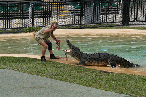 Oz- 1701 by p_c_w Crocodile Hunter photo