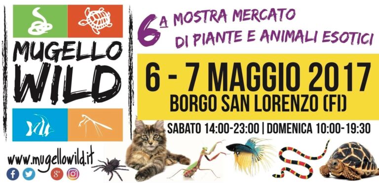 Edizione Mugello Wild 2017