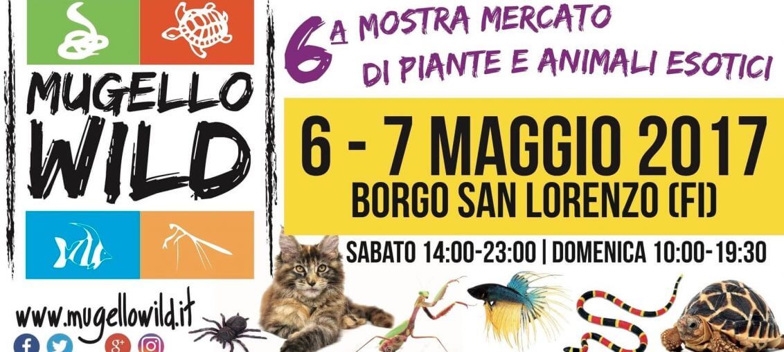 Edizione Mugello Wild 2017