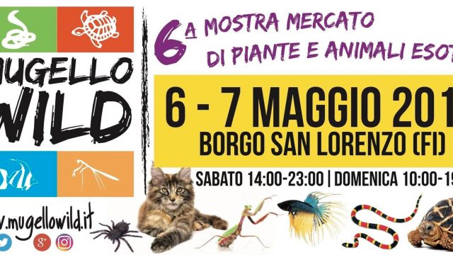 Edizione Mugello Wild 2017