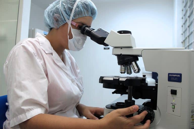 Veterinario Firenze, come trovarlo