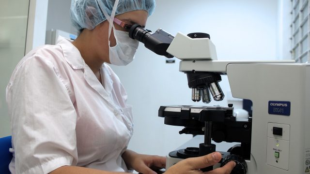 Veterinario Firenze, come trovarlo