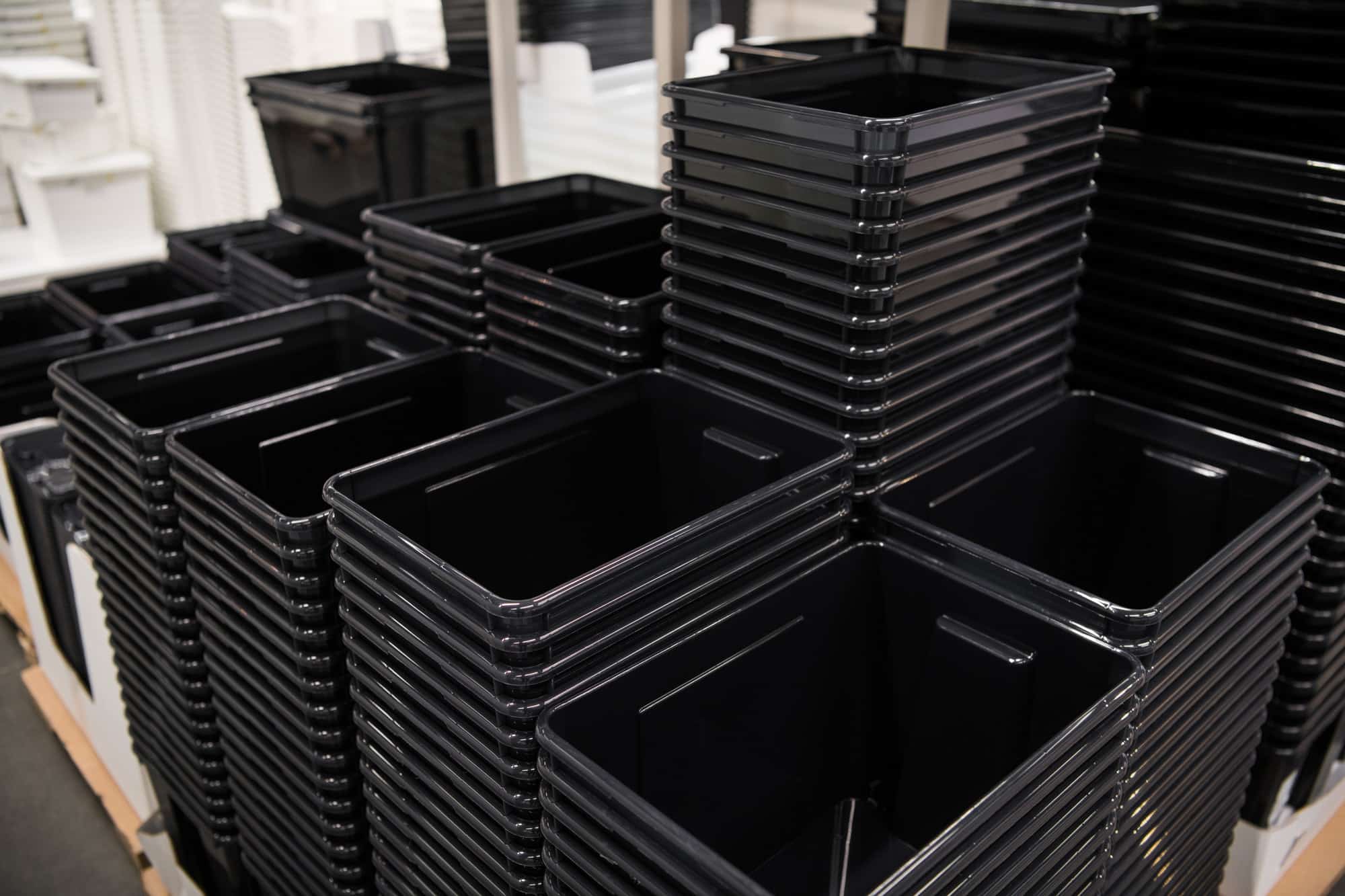 Contenitori in plastica per allevare grilli da pasto come allevare grilli da pasto Come allevare grilli da pasto black plastic box containers in row at store