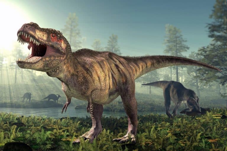 Dinosauri e rettili