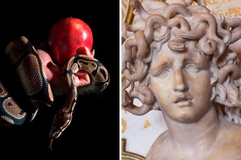 Più famosi serpenti in letteratura