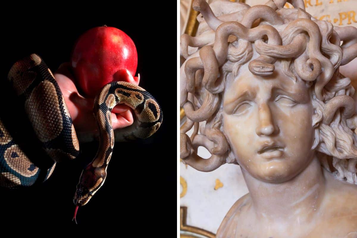 Più famosi serpenti in letteratura