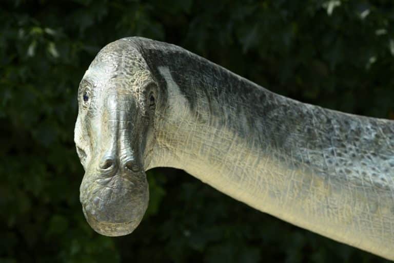 Le ultime scoperte scientifiche rivelano dettagli sorprendenti sulla loro natura e legame con gli uccelli moderni.