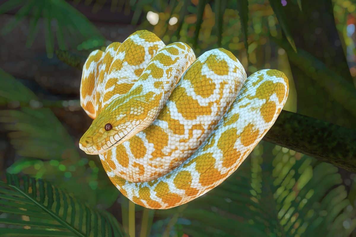 scheletro dei serpenti